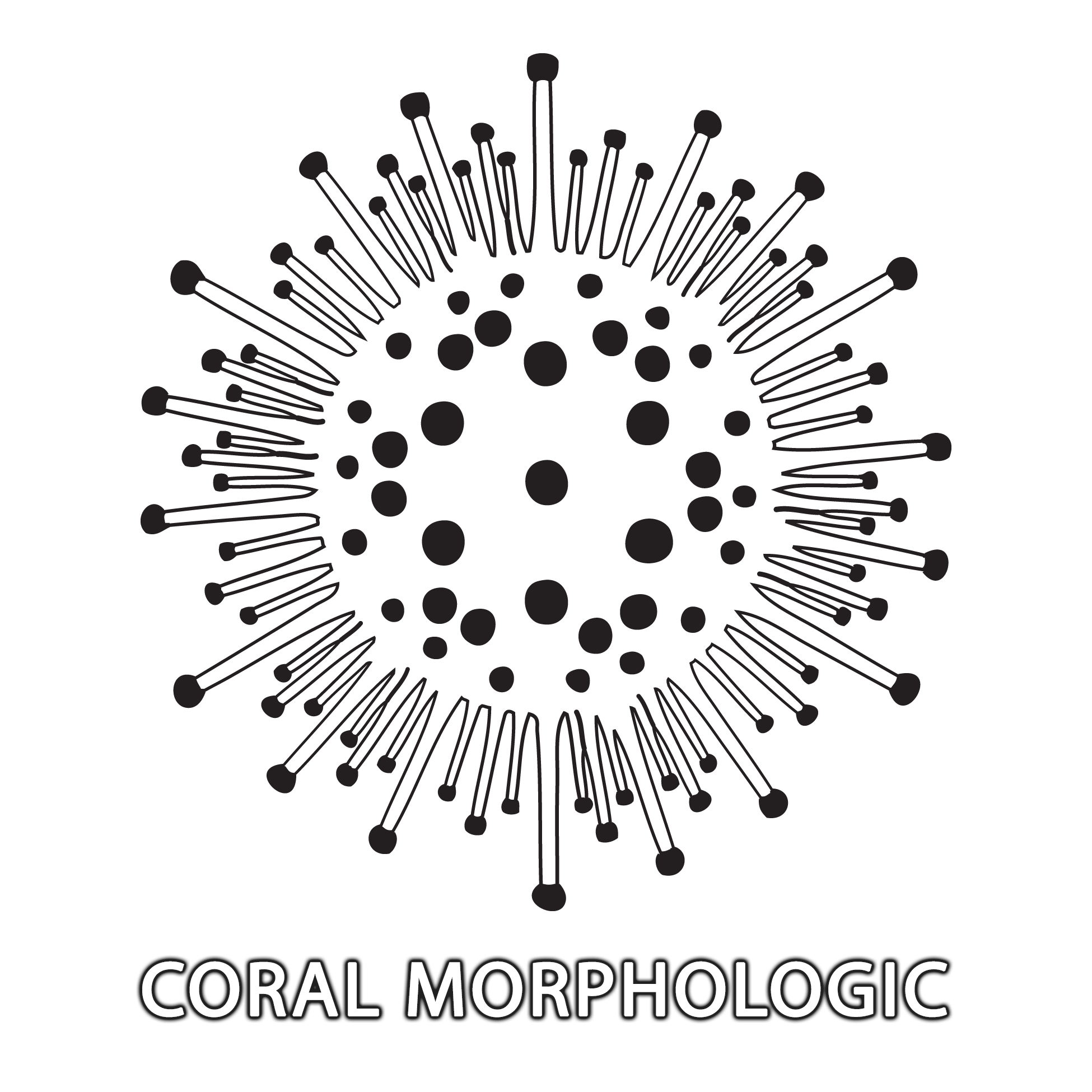 Coral Morphologic Logo